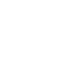 專(zhuān)業(yè)服務(wù)團隊